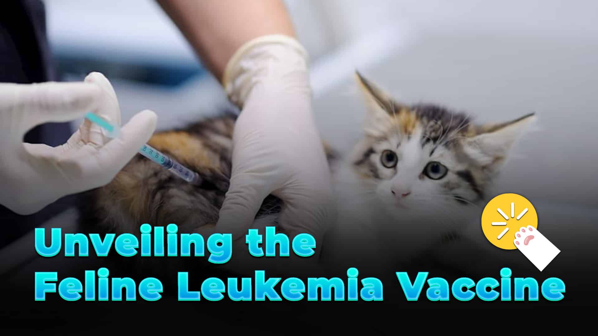 Unveiling the Feline Leukemia Vaccine