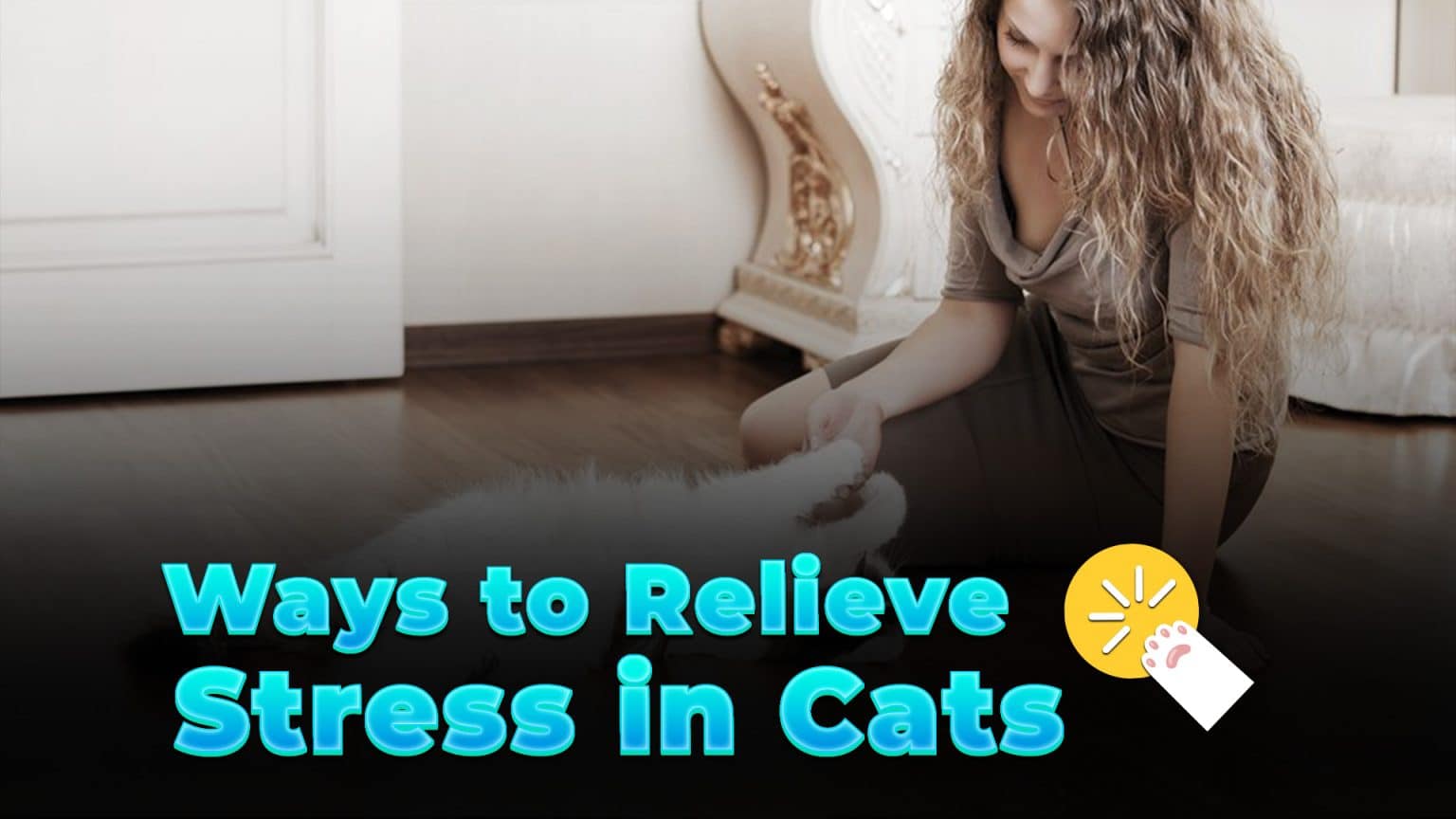 Image showcasing Rules and Regulations Towards Stray Cats in Malaysia